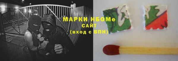 стаф Шадринск