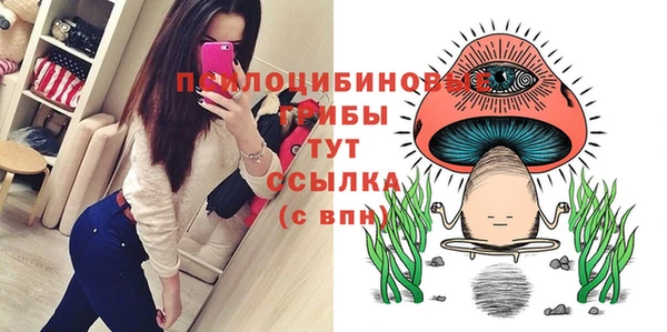 синтетический гашиш Заводоуковск